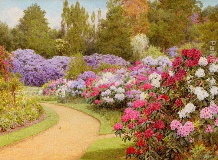 George Marks The Rhododendron Walk